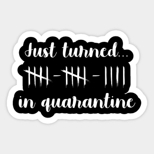 Just Turned 14 In Quarantine Humor Birthday Sticker